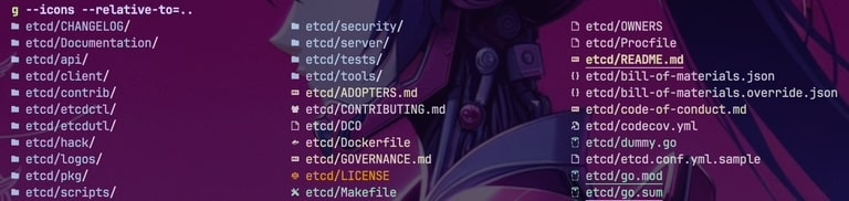 "g": Una alternativa elegante al comando ls en Linux | g command